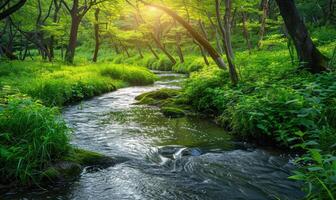 een rustig oever van de rivier bekleed met ontluikend bomen en levendig groen. voorjaar natuur achtergrond foto