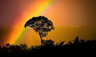 kleurrijk regenboog na voorjaar regenen, regenboog Aan donker bewolkt lucht foto