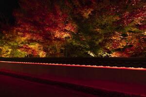 een verlichte rood bladeren Bij de traditioneel tuin Bij nacht in herfst breed schot foto