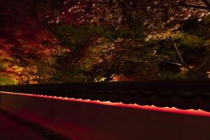 een verlichte rood bladeren Bij de traditioneel tuin Bij nacht in herfst breed schot foto