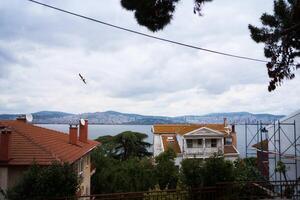 visie van Istanbul en de baai van prins eiland foto