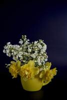 bloem arrangement van geel narcissen en wit arabisch caucasica in een geel kop Aan een zwart achtergrond foto