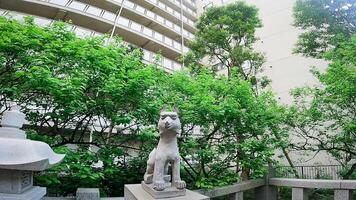 ginsekai inari altaar is een altaar gelegen in de hoek van shinjuku park toren, nishi-shinjuku, shinjuku-ku, Tokio, Japan. deze geheel Oppervlakte was de residentie van een zeker feodaal heer gedurende de edo foto