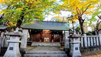 hogima hikawa altaar is een altaar in nishi-hogima, adachi-ku, Tokio, Japan. Hoewel de datum van bouw is niet bekend, het is geschatte naar worden voordat de keicho tijdperk ,rondom 1596 foto