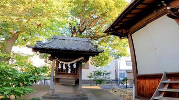 rokugatsu hachiman altaar, een altaar in rokugatsu, adachi-ku, Tokio, Japan. het was gebouwd gedurende de 1053-1058 foto