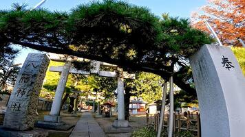 rokugatsu hachiman altaar, een altaar in rokugatsu, adachi-ku, Tokio, Japan. het was gebouwd gedurende de 1053-1058 foto