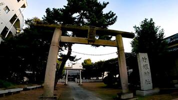 altaar nadering en torii.takezuka altaar, een altaar gelegen in genomennotsuka, adachi afdeling, Tokio, Japan het is zei dat gedurende de 978-982, ise jingu was in opdracht en gebouwd, foto