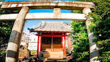 torii en altaar van shimojuku inari altaar, een altaar gelegen in de buurt kawago kaido in nerima afdeling, Tokio, Japan. foto