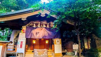 inari kio altaar, een altaar in Kabukicho, shinjuku-ku, tokyo de enkel en alleen altaar in Japan dat verankert de demon koning gogen. sinds de edo periode, tofu heeft geweest zei naar hebben speciaal Effecten Aan eczeem foto