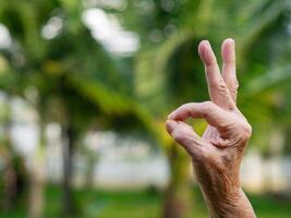 vingers van een senior vrouw tonen alles is OK terwijl staand in een tuin. ruimte voor tekst. concept van oud mensen en lichaam een deel foto