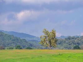 toneel- visie landschap van bergen in noordelijk Thailand foto