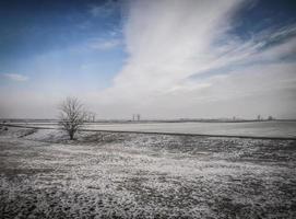 vlak land bedekt met sneeuw in vojvodina in servië foto