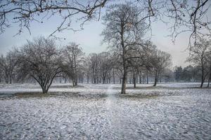 een park in belgrado, in de buurt van usce, onder de sneeuw foto