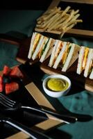 geassorteerd club belegd broodje geïsoleerd Aan houten met mayonaise dip en Frans Patat emmer bord kant visie van Italiaans snel voedsel Aan achtergrond foto