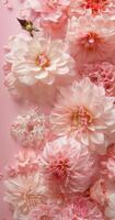 roze bloemen op roze achtergrond foto