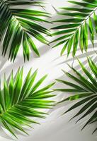 wit muur versierd met palm bladeren foto
