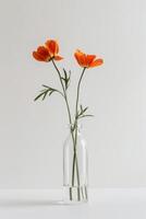 drie oranje bloemen in een Doorzichtig glas vaas foto