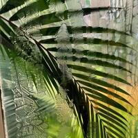 abstract schilderij van palm boom bladeren foto