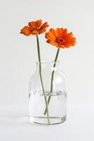 drie oranje bloemen in een Doorzichtig glas vaas foto