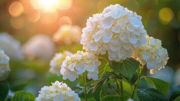 ai gegenereerd detailopname van wit bloem met groen bladeren foto