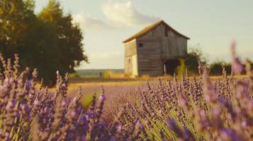 ai gegenereerd rustiek houten molen temidden van levendig lavendel veld- foto