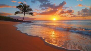 ai gegenereerd palm boom Aan strand Bij zonsondergang foto