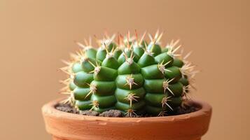 ai gegenereerd cactus in een pot Aan een tafel foto