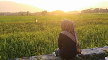 een vrouw zittend Aan de rand van een rijst- veld- Bij zonsondergang foto