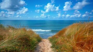 pad leidend naar de oceaan Aan een zonnig dag foto