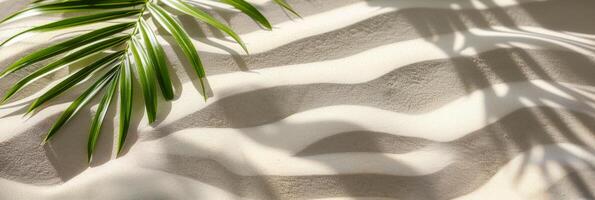 ai gegenereerd een elegant palm blad afgietsels een mooi patroon van schaduwen Aan de getextureerde oppervlakte van wit zand, oproepen tot een zin van kalmte en tropisch kalmte foto