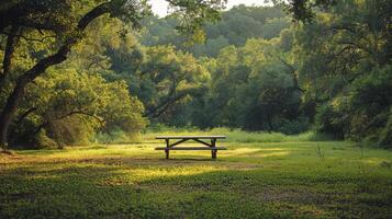 picknick tafel in Woud opruimen foto