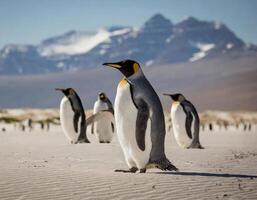 ai gegenereerd klimaat verandering concept pinguïns in de woestijn foto