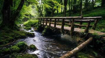 oud brug in verval over- vloeiende water foto