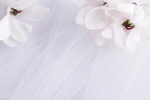 delicaat luchtig bruiloft achtergrond voor ontwerp, kaart, uitnodiging. wit vouwen van de bruid sluier en wit vers bloemen. romantisch ontwerp. een kopiëren ruimte. foto