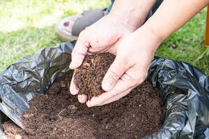 hand met veenmos organische stof verbeteren bodem voor landbouw biologische plantenteelt, ecologie concept. foto