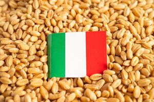 granen tarwe met Italië vlag, handel exporteren en economie. foto