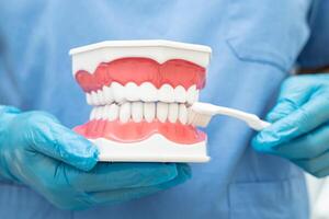Aziatisch tandarts schoonmaak tanden van tandheelkundig model- met tand borstel voor geduldig en aan het studeren over tandheelkunde. foto
