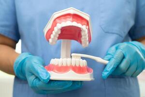 Aziatisch tandarts schoonmaak tanden van tandheelkundig model- met tand borstel voor geduldig en aan het studeren over tandheelkunde. foto