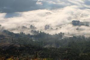 cloudscape wonderland, berg pieken bovenstaand wolken, betoverend Woud hieronder foto