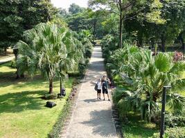 Jakarta, Indonesië, 2023 - ochtend- wandelen Aan een groen park voetpad omringd door bomen, in gelora stop karno foto