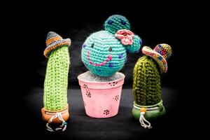 ambachten in cactus wol gehaakt voor decoratie foto