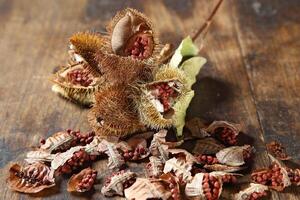 urucum, braziliaans kruid van inheems oorsprong gebruikt in braziliaans keuken foto