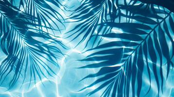 een blauw palm bladeren weerspiegeld in de water. tropisch blad schaduw Aan water oppervlak. schaduw van palm Aan blauw water. mooi abstract achtergrond foto
