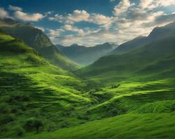 groen natuurlijk landschap verbijsterend foto