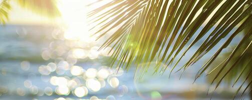 prachtig wazig groen palm blad Aan een tropisch strand met een abstract achtergrond van zon licht golven. foto
