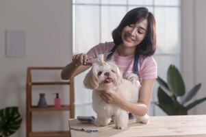 vrouw professioneel groomer trimmen kapsel en kammen hond vacht Bij huisdier spa uiterlijke verzorging salon foto