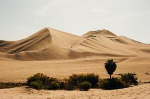 landschap van huacachina woestijn. in ica, Peru. foto