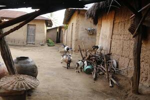 modder huizen in dorp in Benin foto