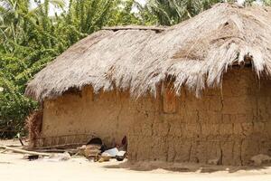 modder huizen in dorp in Benin foto