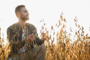 boer of agronoom in soja veld- onderzoeken Bijsnijden Bij zonsondergang foto